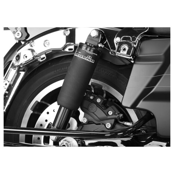 Air FL Air Suspension - Image 3