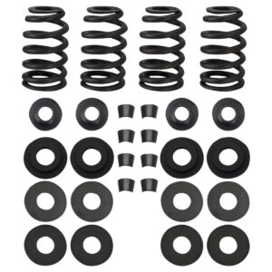 Street Performance Valve Spring Kit
