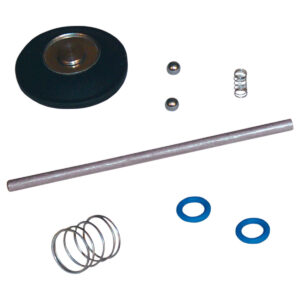 Accelerator Pump Rebuild Kit