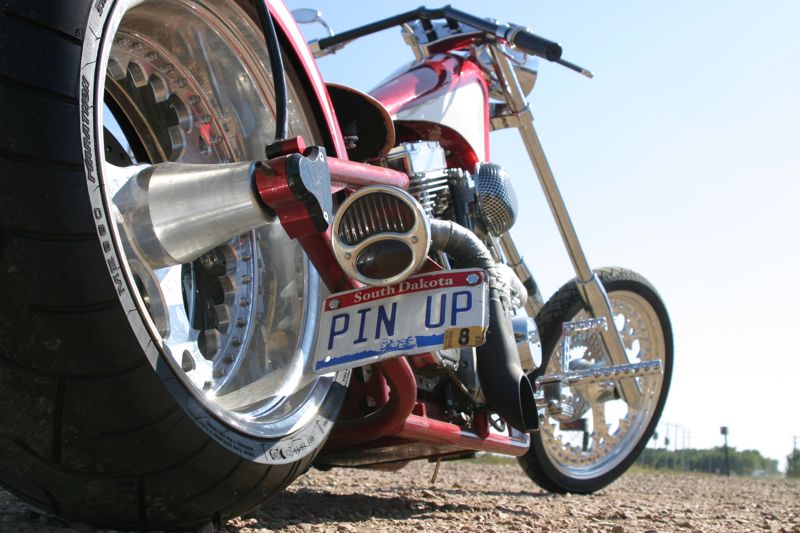 Pin Up, photo 5