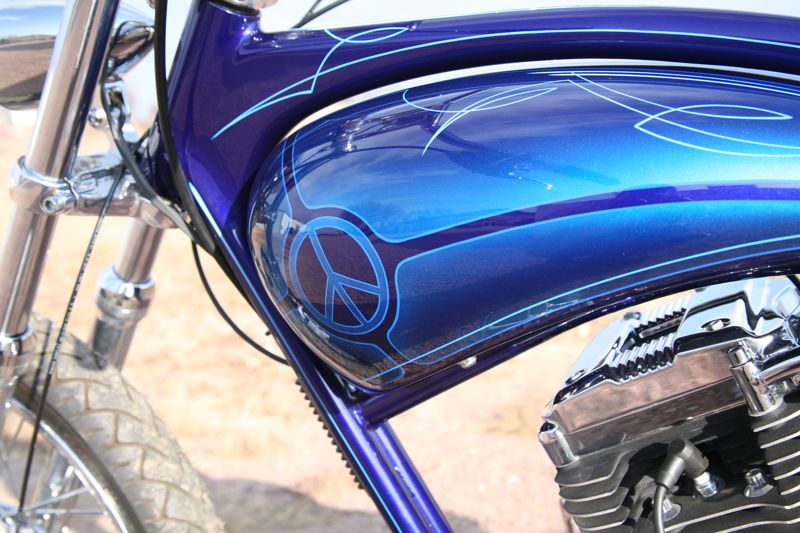 Rubber Mount Sportster, photo 2