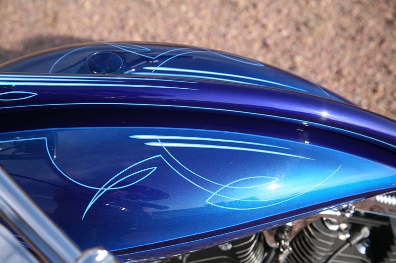 Rubber Mount Sportster, photo 5