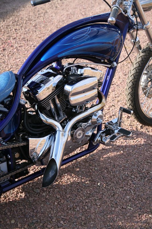 Rubber Mount Sportster, photo 8